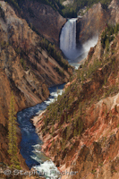 Yellowstone falls