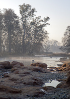 American River Parkway gallery