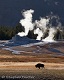 Yellowstone