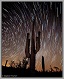 Arizona deserts