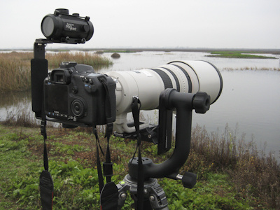 Red dot sight setup