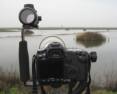 Rear view of sight setup