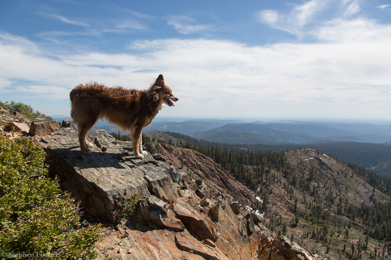 View from Grouse Ridge