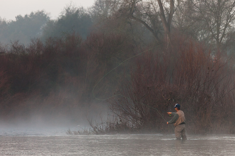 Fishing on the parkway