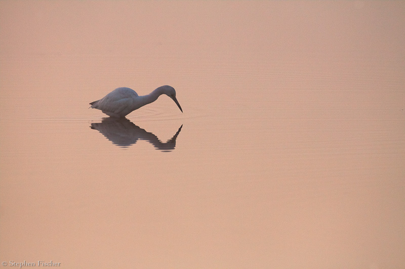 Fishing in the sky