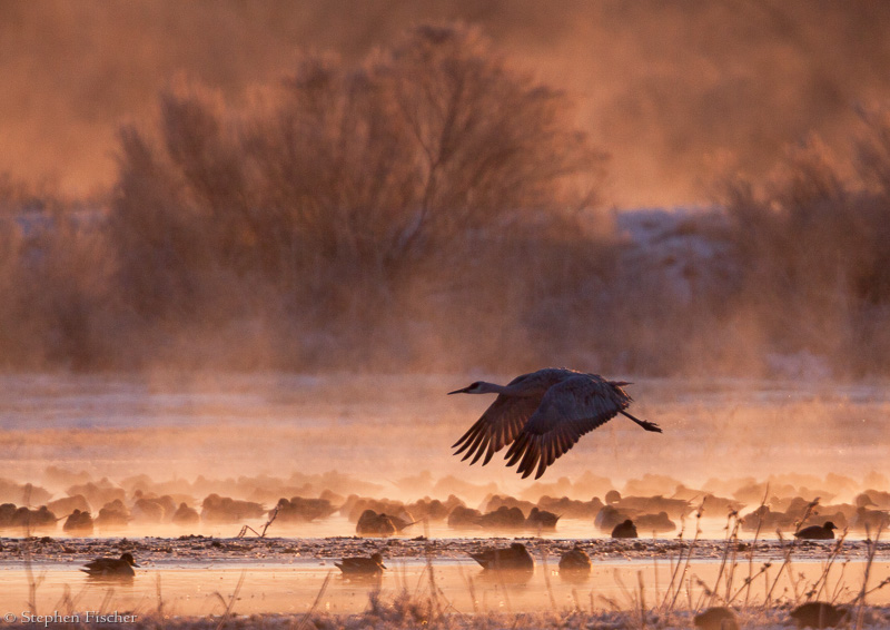 Foggy morning fly-by