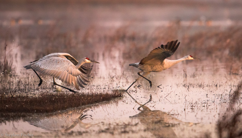 Cleared for take-off