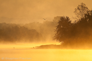 Morning River Glow
