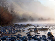 Misty Shores
