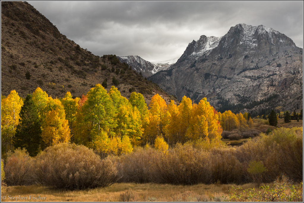 Rush Creek Colors