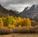 Rush Creek colors