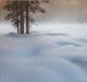 Winter softness