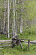 Loney Meadow revisited