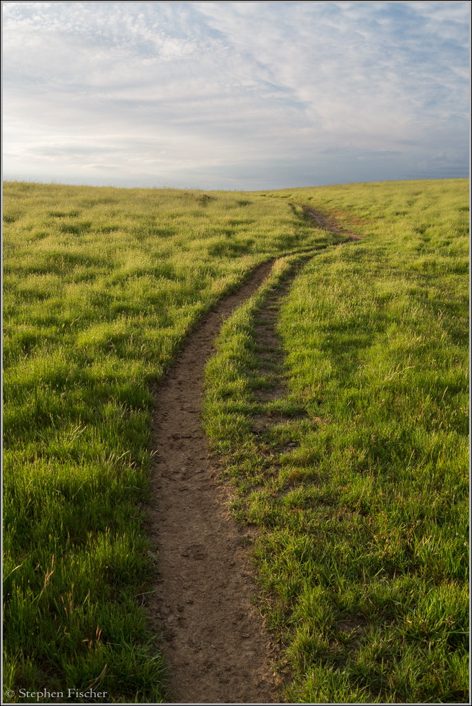 Open grasslands south of 50