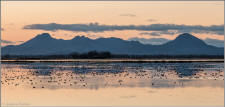 Sutter Buttes
