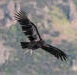 Pinacales National Park
