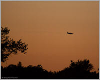 Aerial spraying