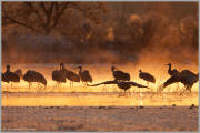 Running take-off