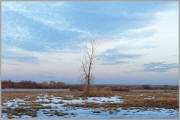 Winter starkness