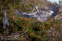 Home landing