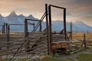 Teton stable