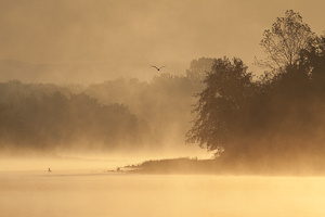 American River Parkway