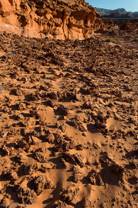 The devils garden
