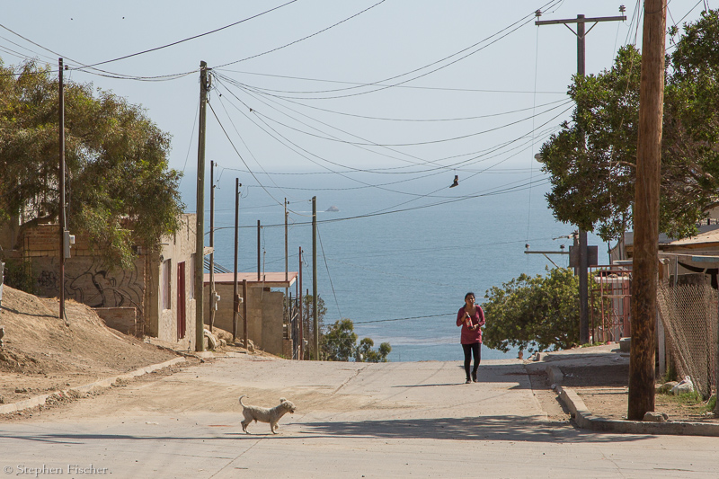 Taking a walk