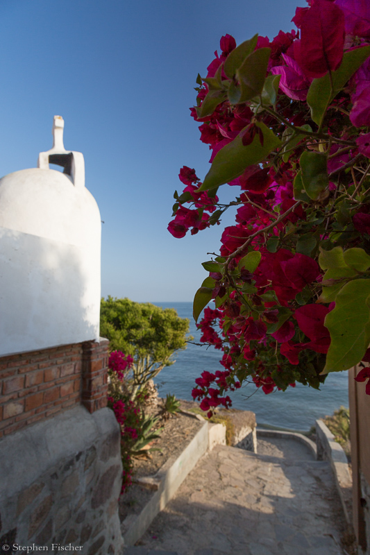 Bouganvilla and the fireplace