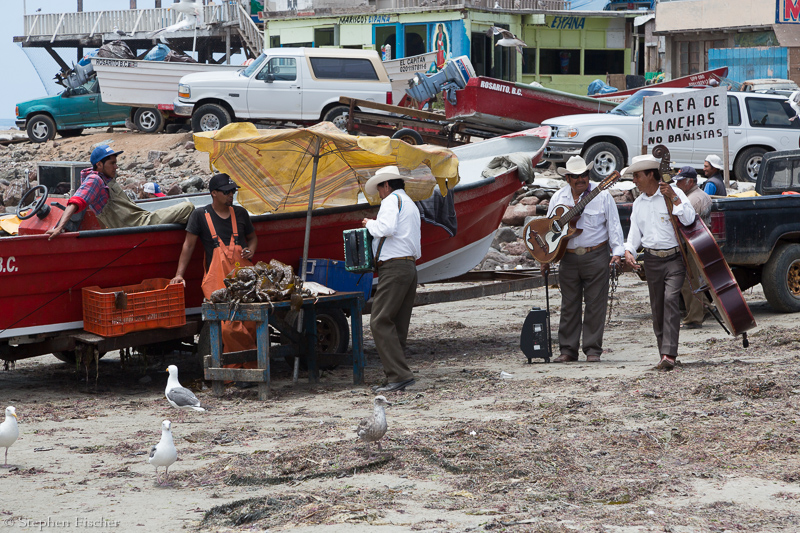Beach musicians