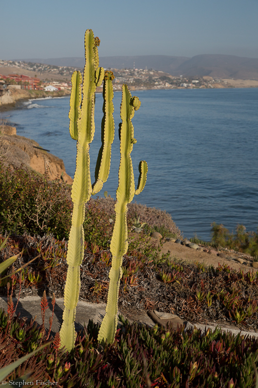 Baja coast afternoon