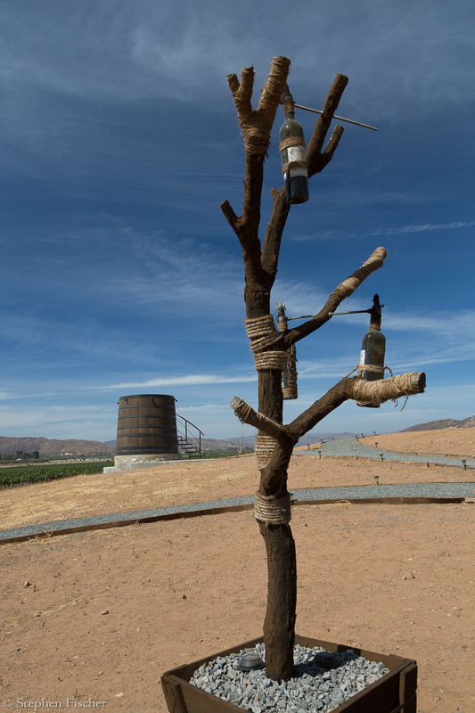 Wine tree