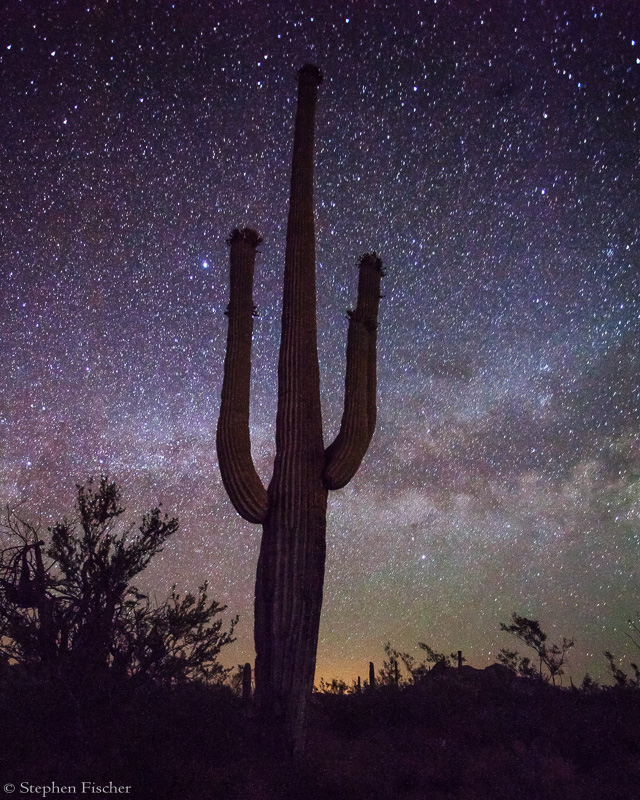 Desert Milkyway