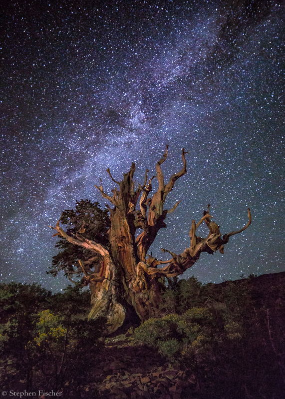 The nature of time