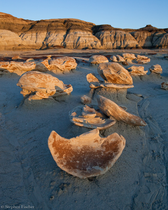 Alien shells