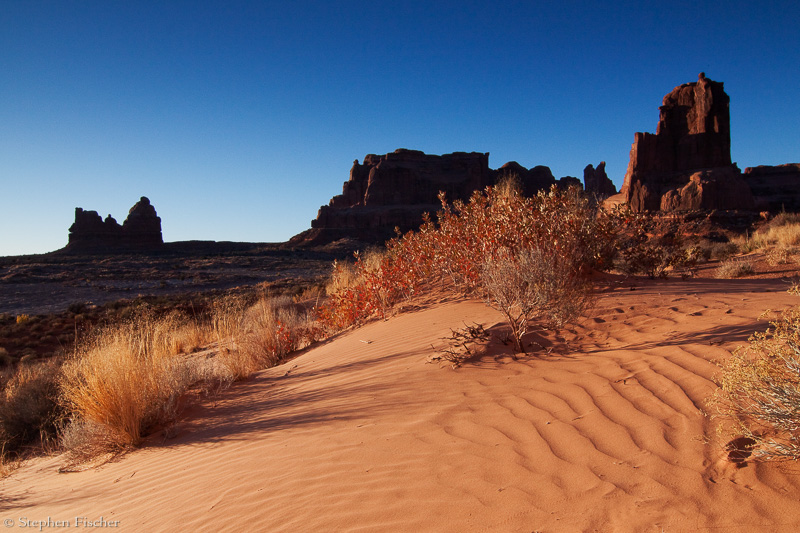 Morning on the dunes