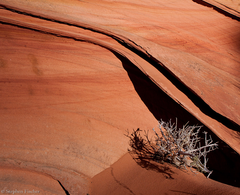 Sandstone delicacy