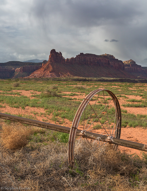 Tumbleweed sprinkler