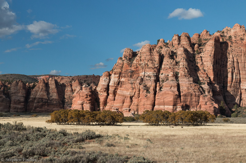 Kolob Terrace