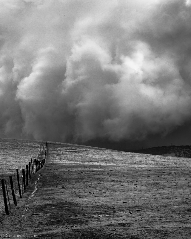 Storm and the Fence line