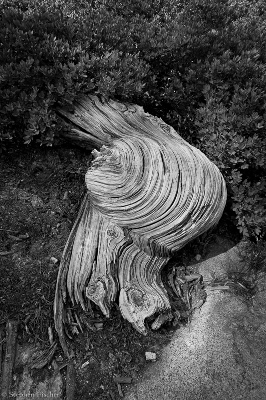 Structure of nature