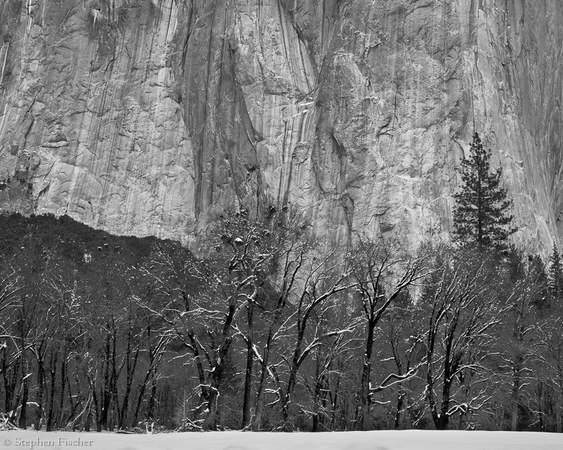 Wall of winter