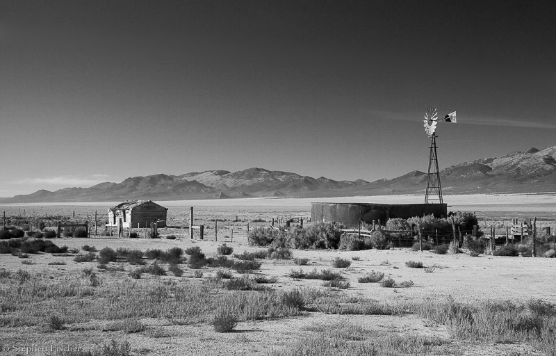Abandoned homestead