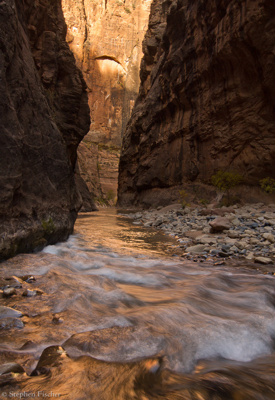 Golden narrows