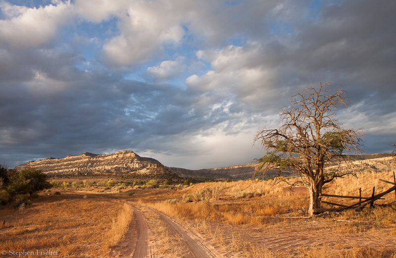 Road to the mesa