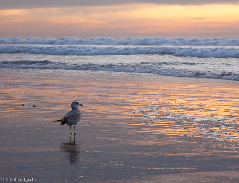 Enjoying the sunset