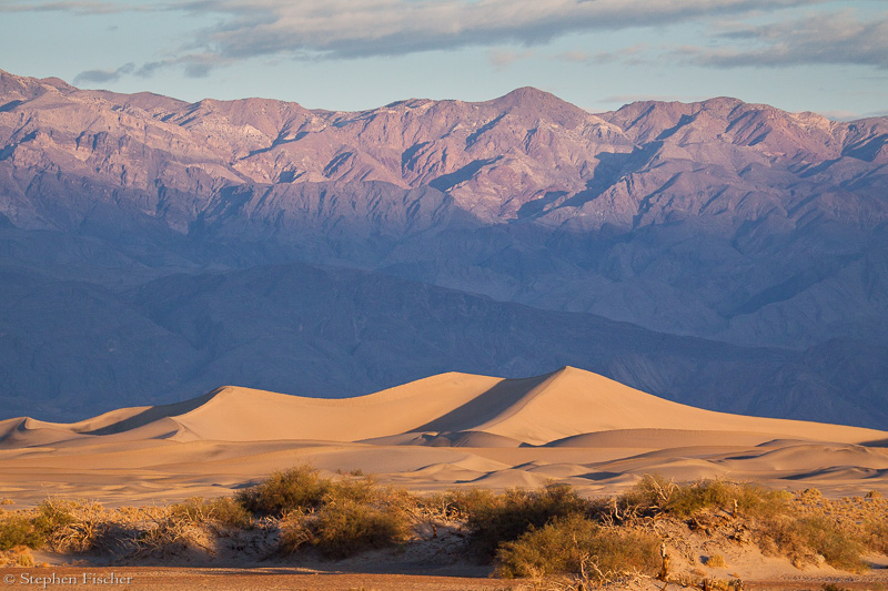 Mesquite Dune morning
