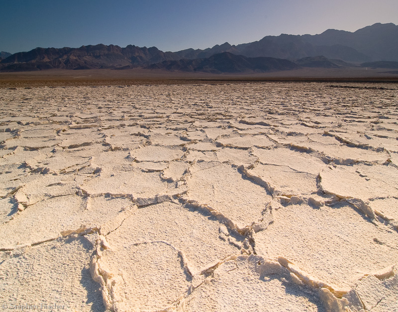 Salt flats