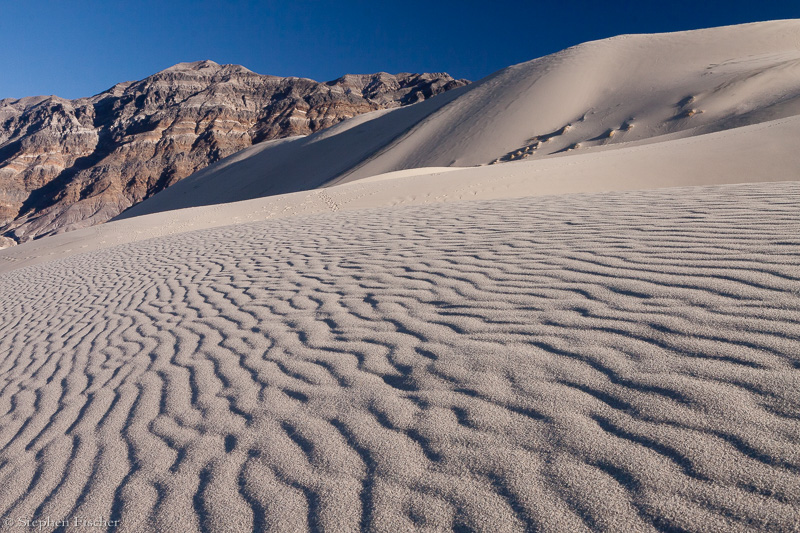 Dune ripples