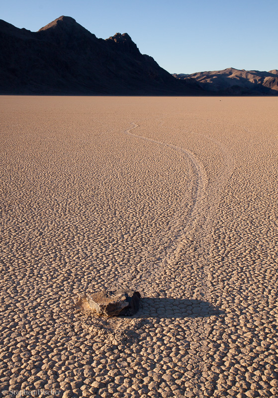 Out on the playa